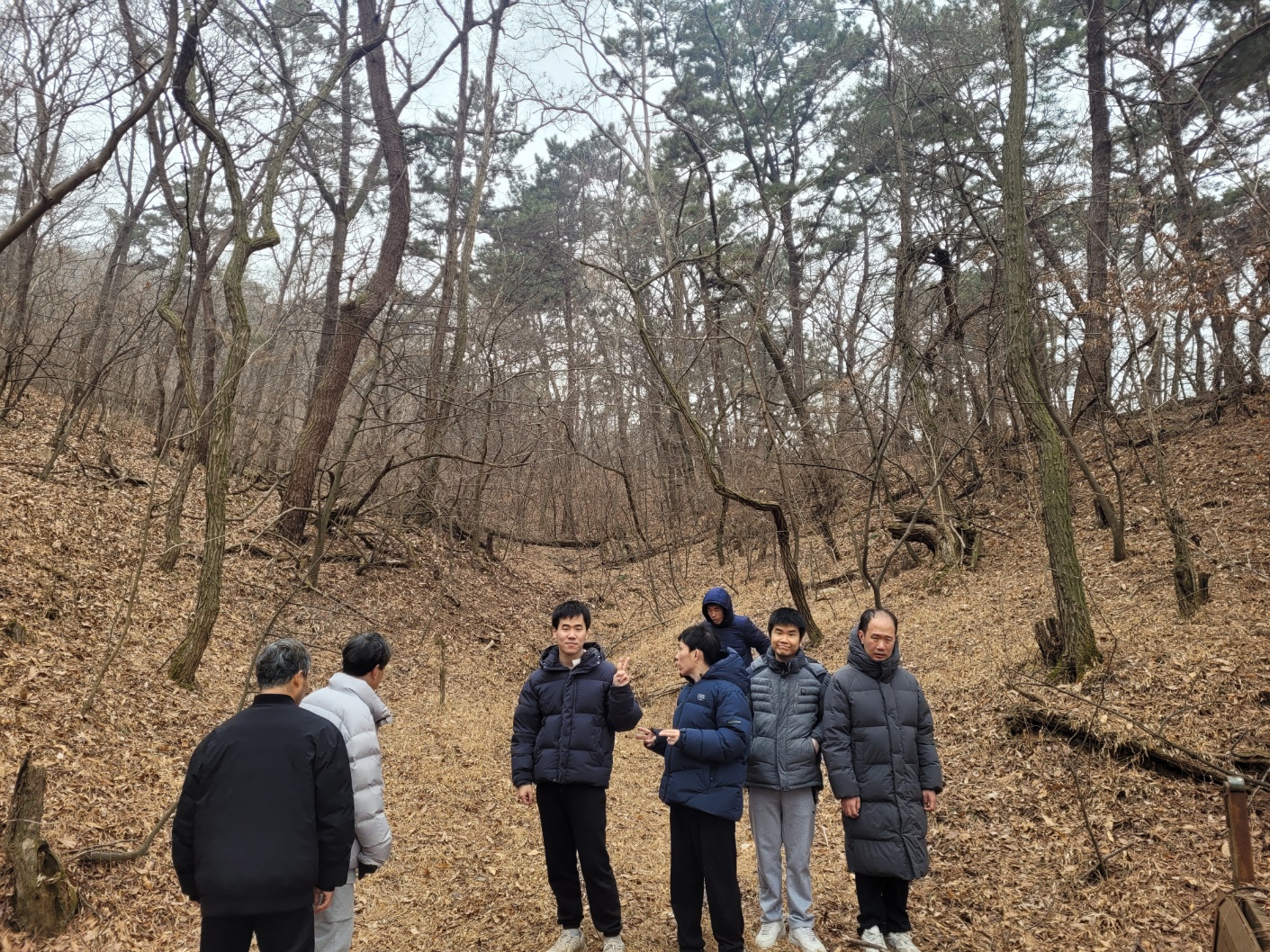 임시이미지